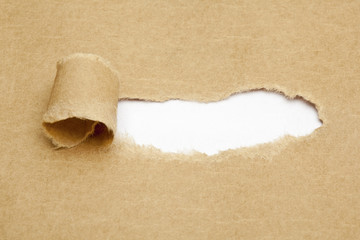Blank White Space in Torn Paper