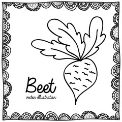 beet drawing