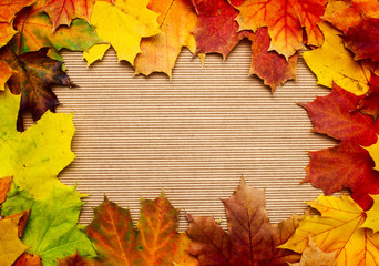 Naklejka na ściany i meble Frame composed of colorful autumn leaves