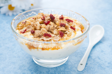 homemade natural yogurt with maple syrup, granola