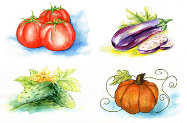 Watercolor vegetables, painting on white background.