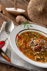 parasol mushroom soup