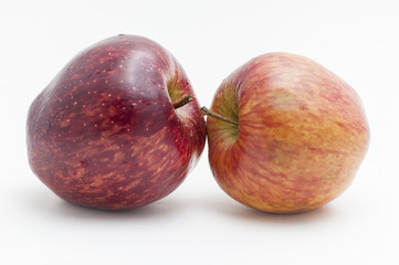 apples