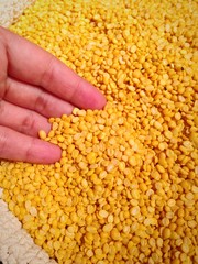 A hand holds monk bean