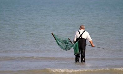 p&ecirc;che &agrave; pied &agrave; la crevette en normandie