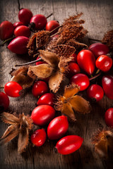 Dogrose with leafs over Wooden Background