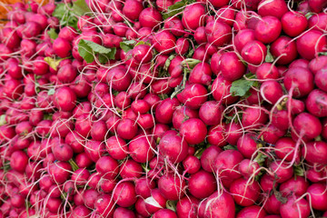 radishes