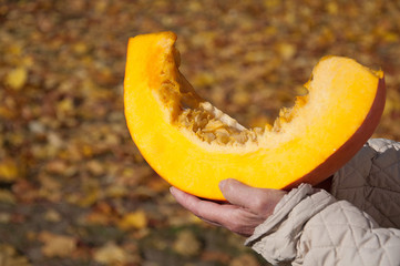 part of the pumpkin in the hands