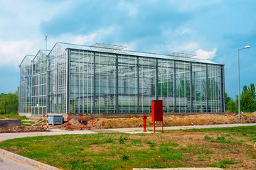 Fototapeta na wymiar Large greenhouse outdoors