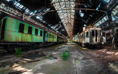 Some trains at abandoned train depot