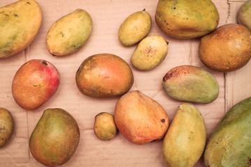 Fresh mangos