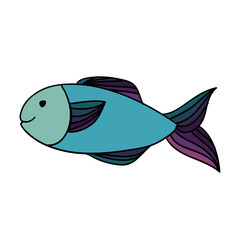 fish drawing