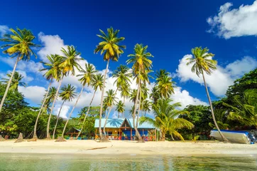 Foto op Plexiglas Caribbean Beach Shack © jkraft5