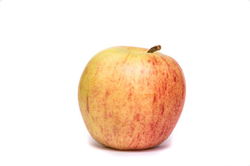 Organic gala apple