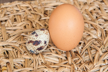 Eggs