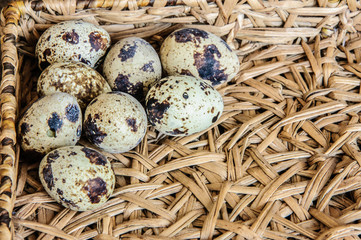 Obraz premium Quails Eggs