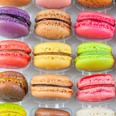 traditional french colorful macarons in a box