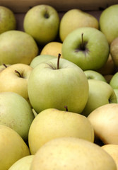 Green and yellow market apples