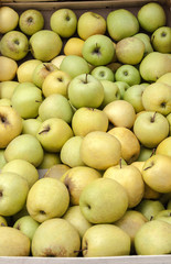 Green and yellow market apples