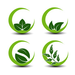 Vector natural symbols with leaf - circular nature icon