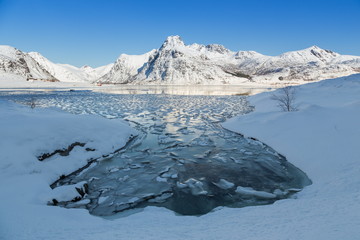 Fototapeta na wymiar lofoten island during winter time