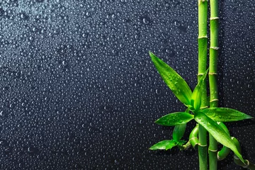 Abwaschbare Fototapete Badezimmer Spa-Hintergrund - Tropfen und Bambus auf Schwarz