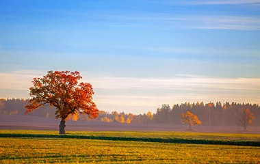 Vlies Fototapete Herbst schöne Herbstlandschaft
