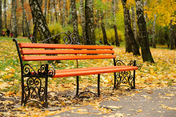Autumn bench