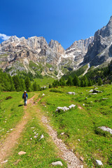 Fototapeta na wymiar Dolomiti - hiking in Contrin Valley