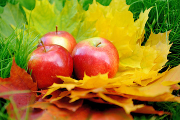 Apples on leaf
