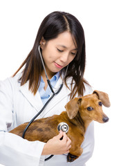 Female veterinarian with dog