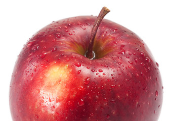 Several red apples on white background