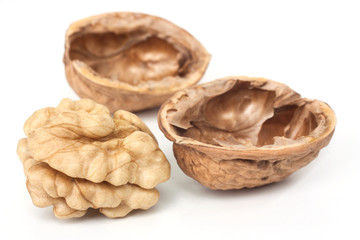 walnut