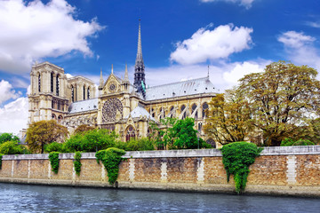 Fototapeta na wymiar Notre Dame de Paris Cathedral.Paris. France.