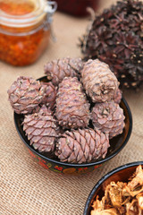 pine nut cones