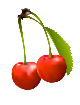 red cherry berries with green leave