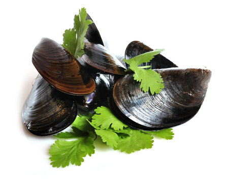 Mejillones al natural
