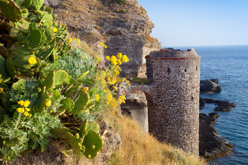 Flowers and castle on capraia island, Elba, Tuscany, Italy, Euro