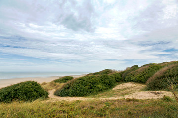 Obraz premium Dunes to the sea.