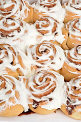 Fototapeta premium rows of cinnamon buns