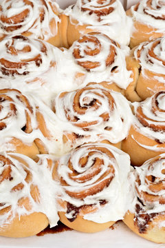 Rows Of Cinnamon Buns