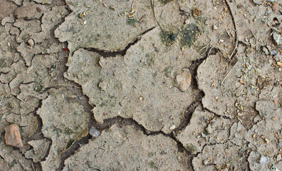 cracks in the ground