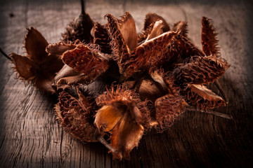 beechnuts on wooden table