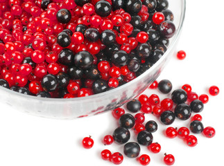 Berries