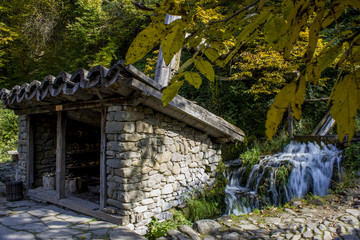 Wood craving workshop