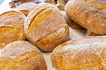 Fresh baked round breads.