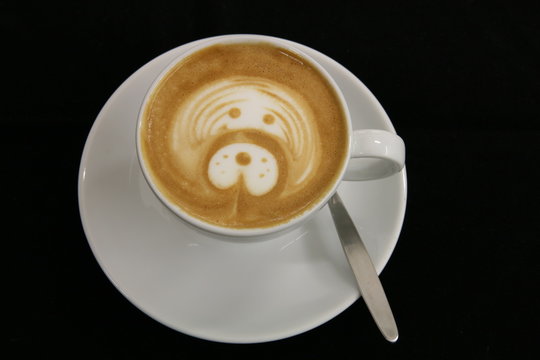 Latte Art Hund