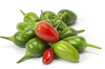 Rote und grüne chilis vor weißem Hitnergrund