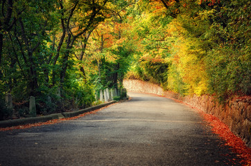 Countryside road in autumn day