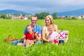 Happy family having picnic in meadow